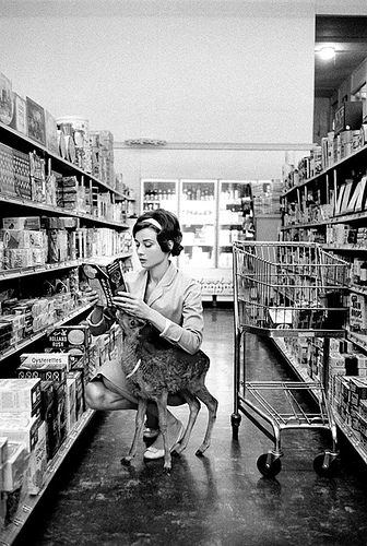 Audrey Hepburn shopping in Beverly Hills with her pet deer and costar, Pippin, known as "Ip." (1958)