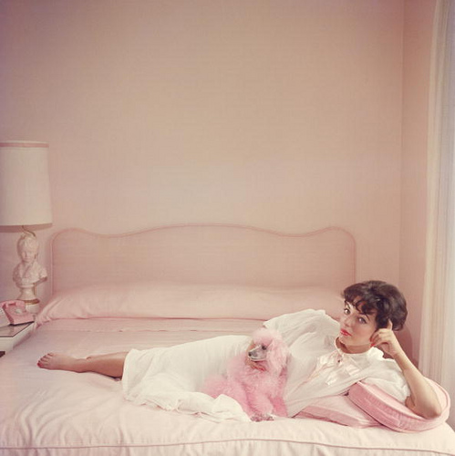 Actress Joan Collins with her dyed pink poodle